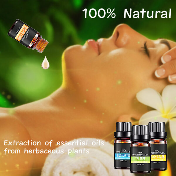 Organic Essential Oils Set Top Sale  Natural Therapeutic Grade Aromatherapy Oil Gift Kit For Diffuser - Image 3