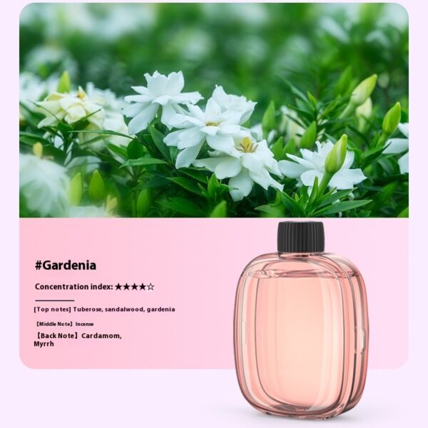 Essential Oil Only Fits V01pro Aroma Diffuser - Image 5