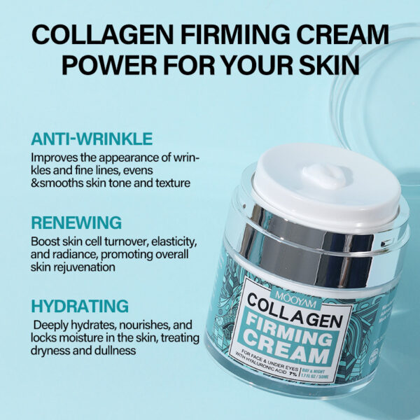 Anti-Wrinkle Face Cream Containing Hyaluronic Acid Hydrating High Moisturizing Fade French - Image 3