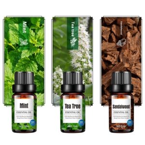 Aroma Diffuser Special Plant Sweet Orange Water-based Lavender Essential Oil 10ml - Image 3