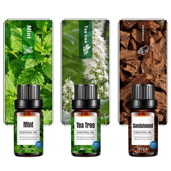 Aroma Diffuser Special Plant Sweet Orange Water-based Lavender Essential Oil 10ml - Image 3