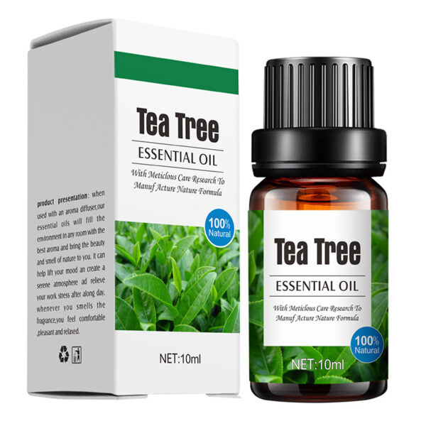 Aroma Diffuser Special Plant Sweet Orange Water-based Lavender Essential Oil 10ml - Image 8