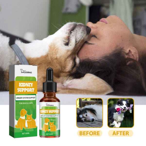 Pet Nutritional Supplements Enhance Energy Vitality - Image 3
