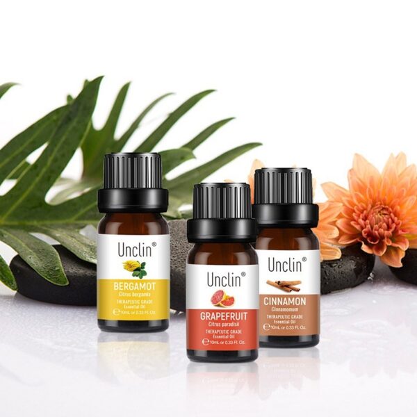 Aromatherapy Plant Diffuse Square Oil - Image 2