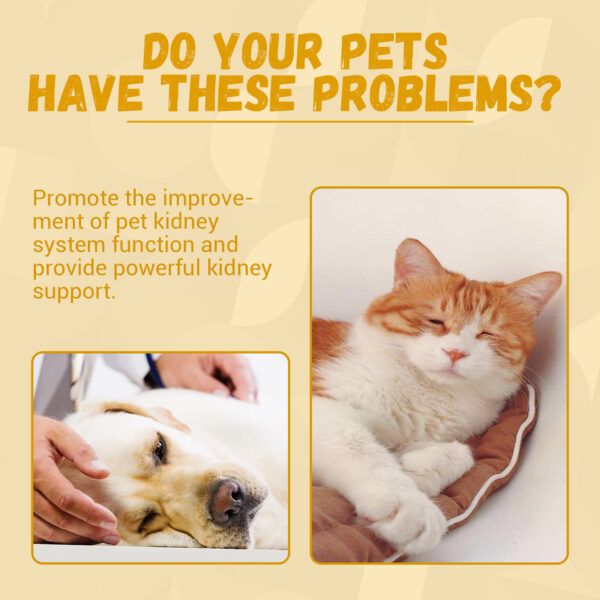 Pet Nutritional Supplements Enhance Energy Vitality - Image 5