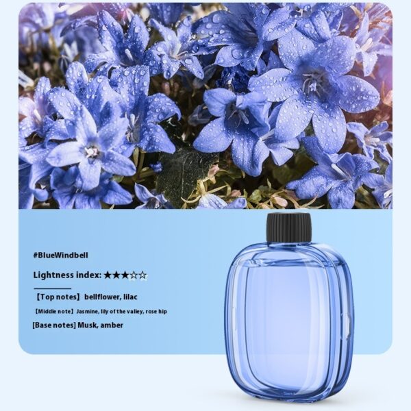 Essential Oil Only Fits V01pro Aroma Diffuser - Image 7